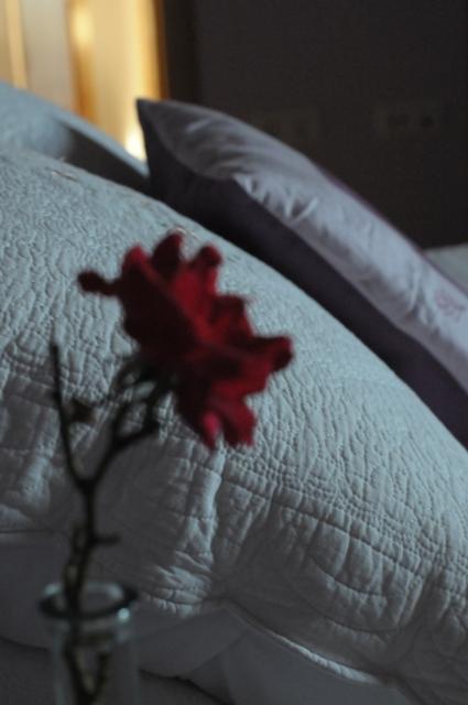 Apartamentos Rurales Romallande プエルト・デ・ベガ エクステリア 写真